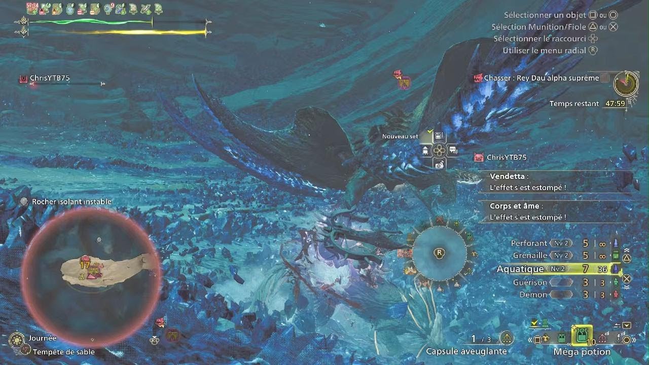 Monster Hunter Wilds Rey Dau Rank10