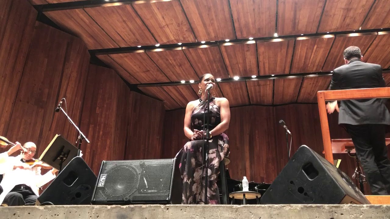 Audra McDonald Children Will Listen/You’ve Got to Be Carefully Taught
