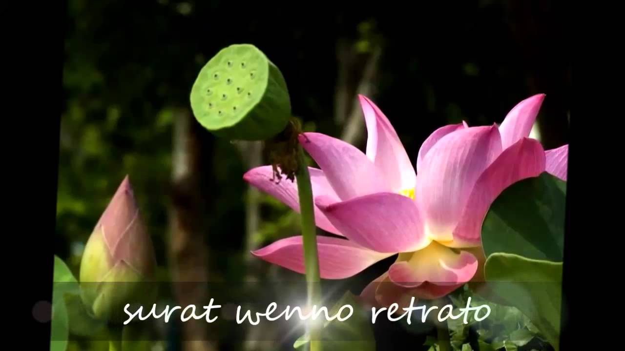 Iliw - Teresa Valencia (Ilocano Love Song)