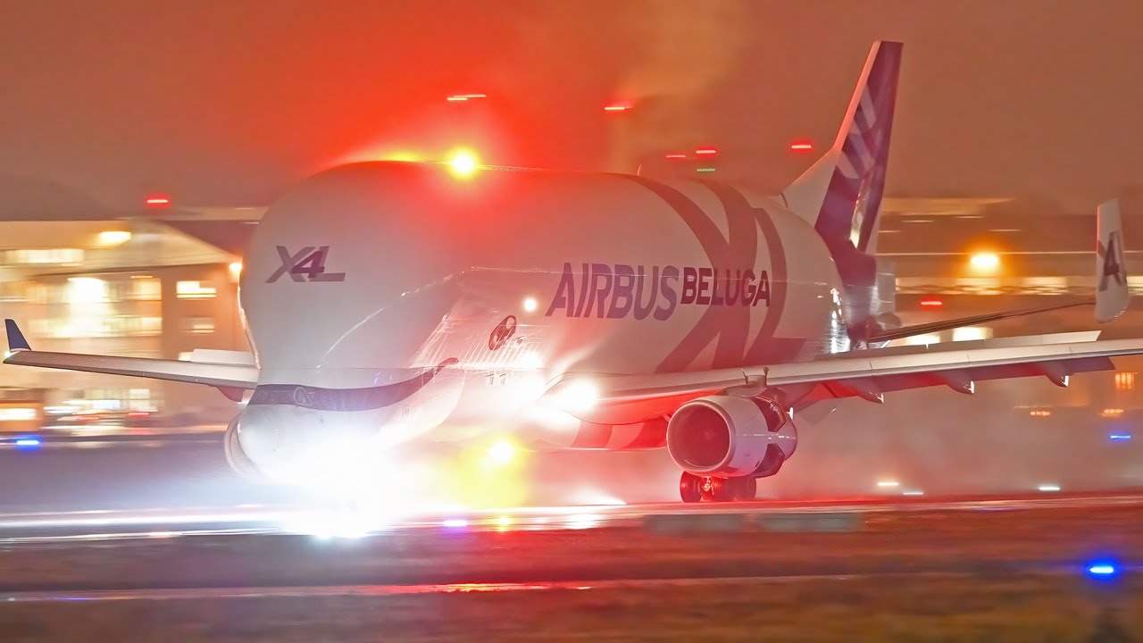SPECIAL - A Day of Aviation At the Airbus Factory - PlaneSpotting at Hamburg Finkenwerder