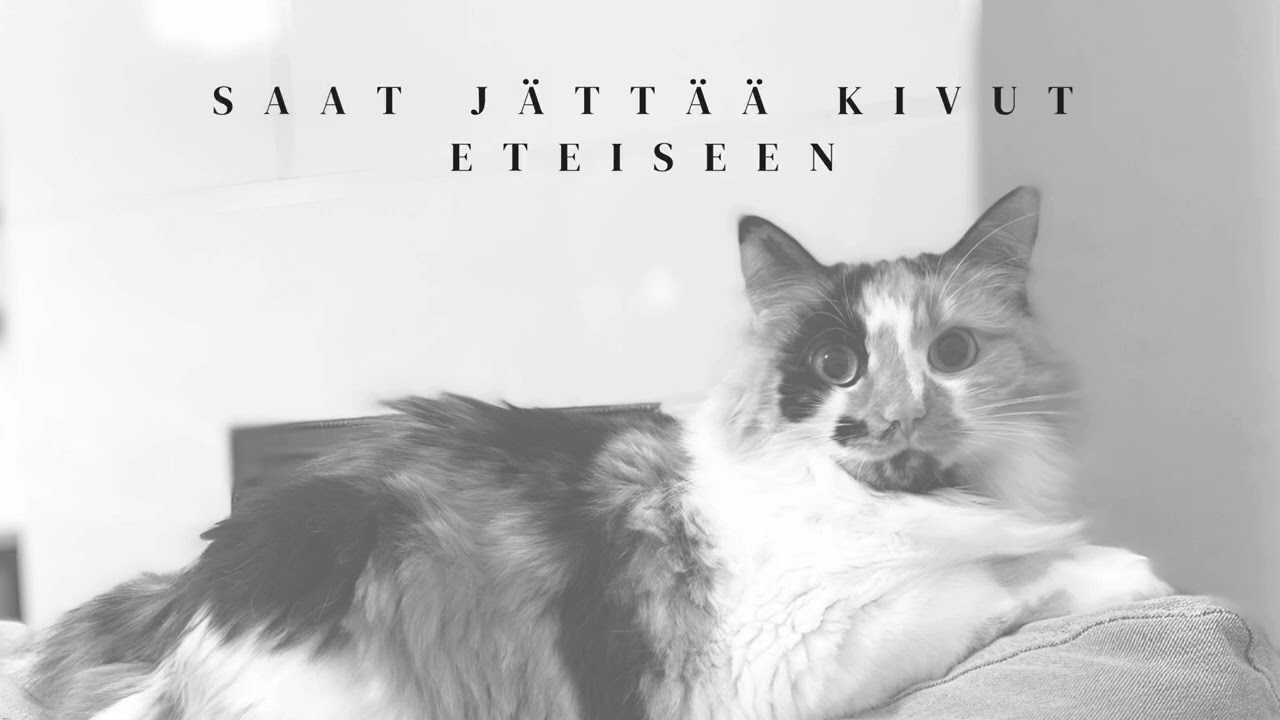 Kissojen taivaaseen (lyriikkavideo) - Sampo Salmela