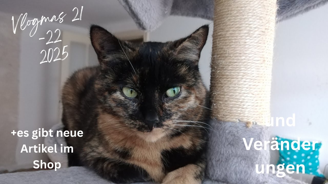 Mini Aufbrauch Challenge & Veränderungen. Vlogmas 2025 Tag 21-22.