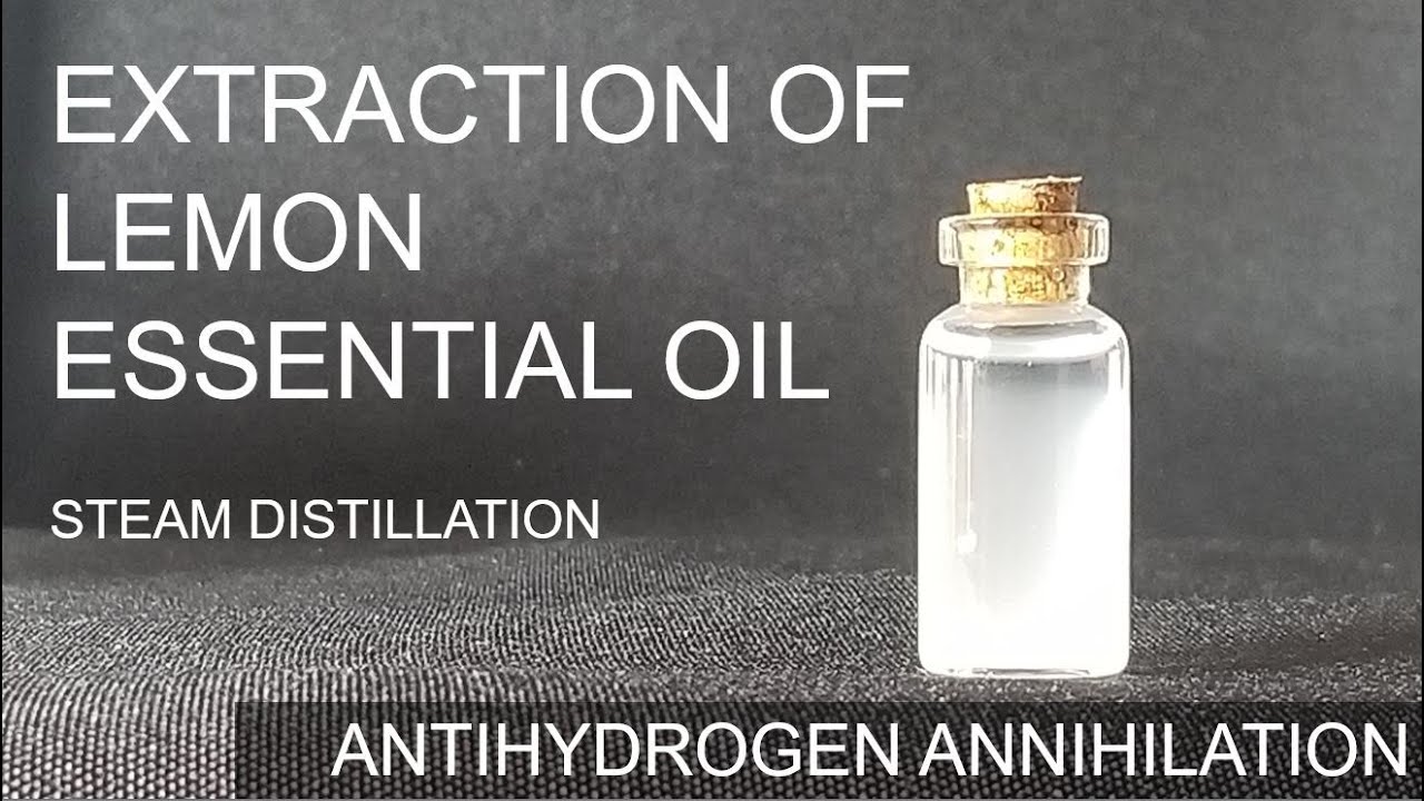 Extraction of Lemon Essential Oil | Steam Distillation