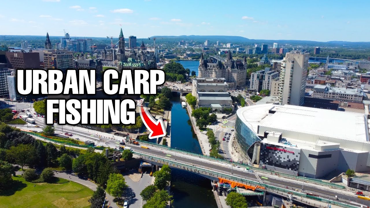 Urban Carp Fishing in a CRYSTAL CLEAR CANAL in City Centre - Urban Carp Adventures: Ottawa