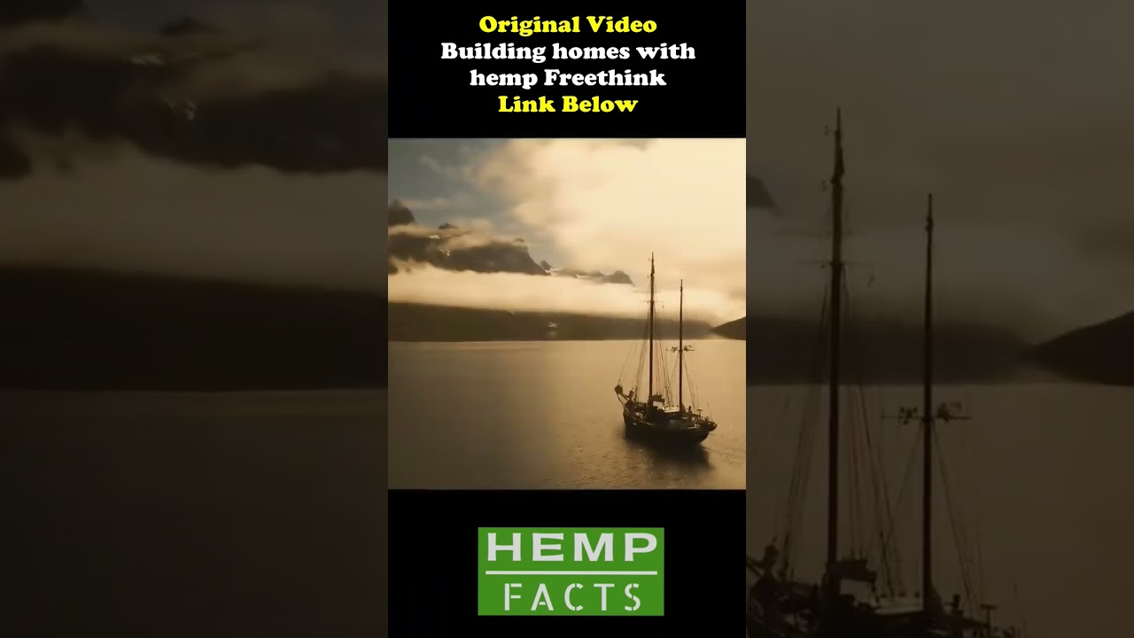 Hemp buildings have been here for thousands of years... let's bring them back 🙌👏🌱 #hemp #shorts