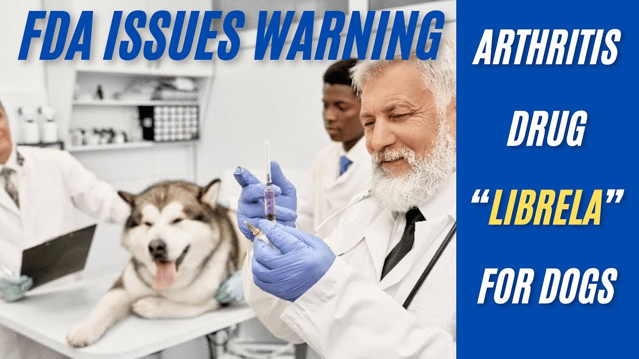 FDA Issues Warning to Vets on Osteoarthritis Drug - Librela