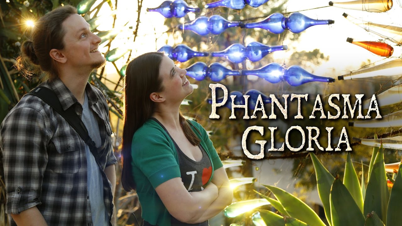 Exploring Phantasma Gloria at Randyland