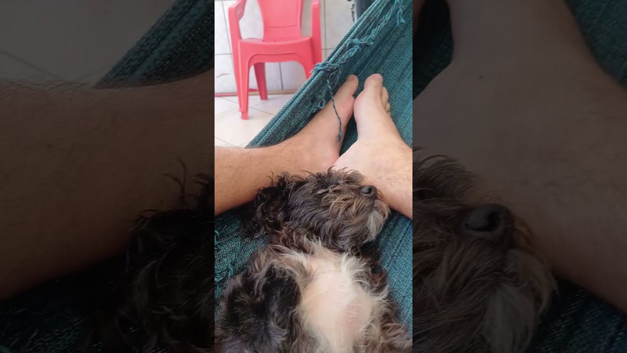 Lucascovreoficial está ao vivo!