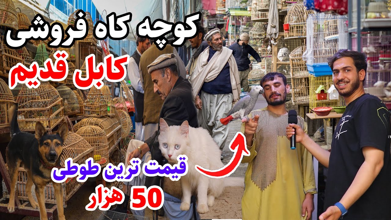 کوچه کاه فروشی، کابل قدیم، مردمان کلاسیک، پرنده های خوش آوازOld Kabul