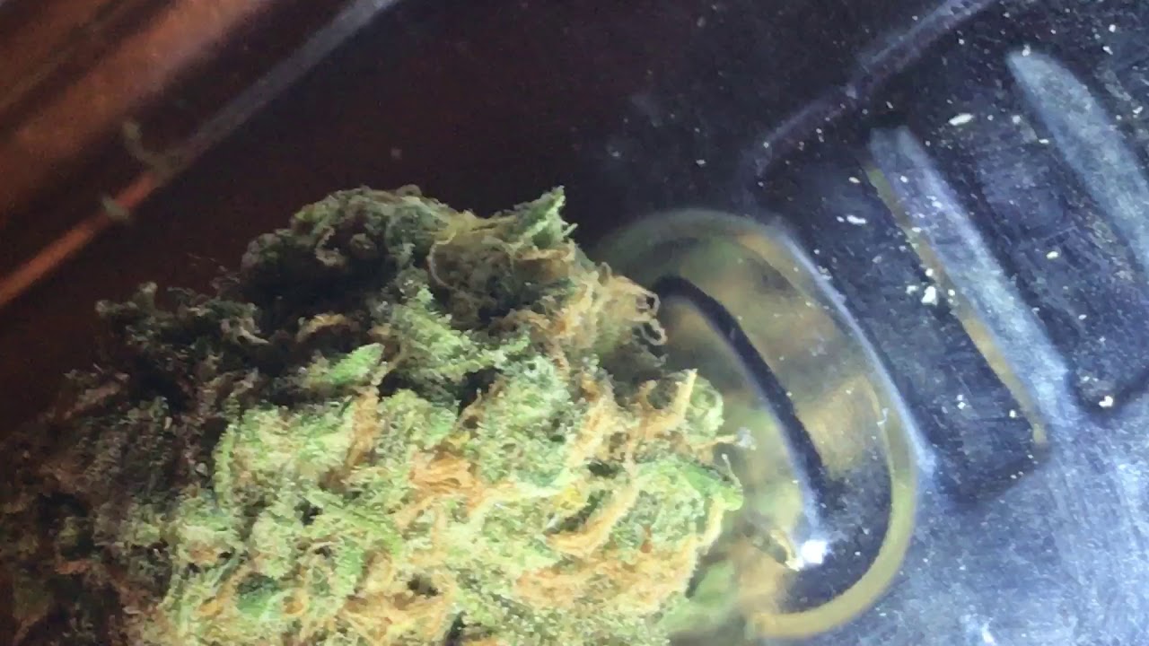 Sour Maui weed close up