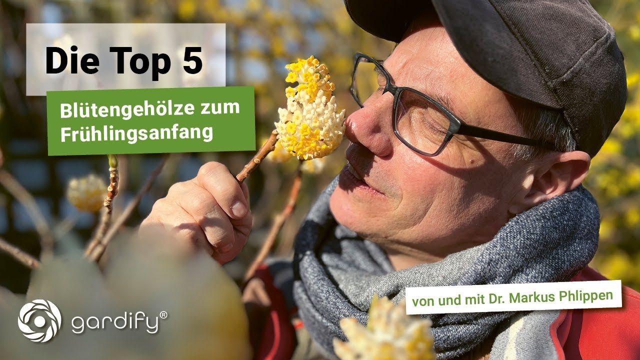 Blütengehölze - Unsere Top 5 zum Frühlingsanfang inkl Gartentipps zum Standort