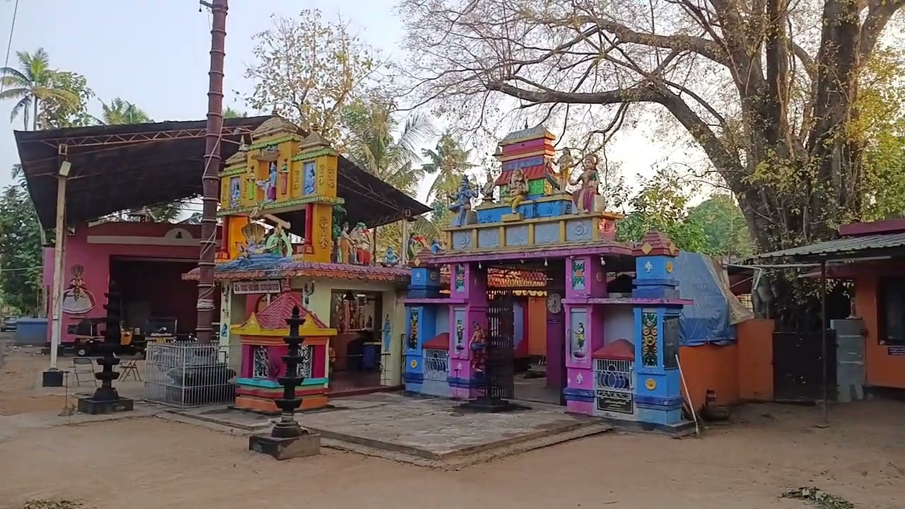 Sreekrishnaswamy temple Kavanattu killikaloor kollam #viral #temple #kollam #mha 