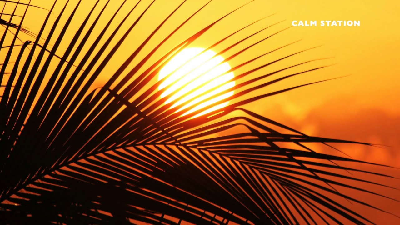 Colors Of Illusion - Still Sleeping, Chill Vibes, Chill Music, Chill Out, Relaxing Mood.