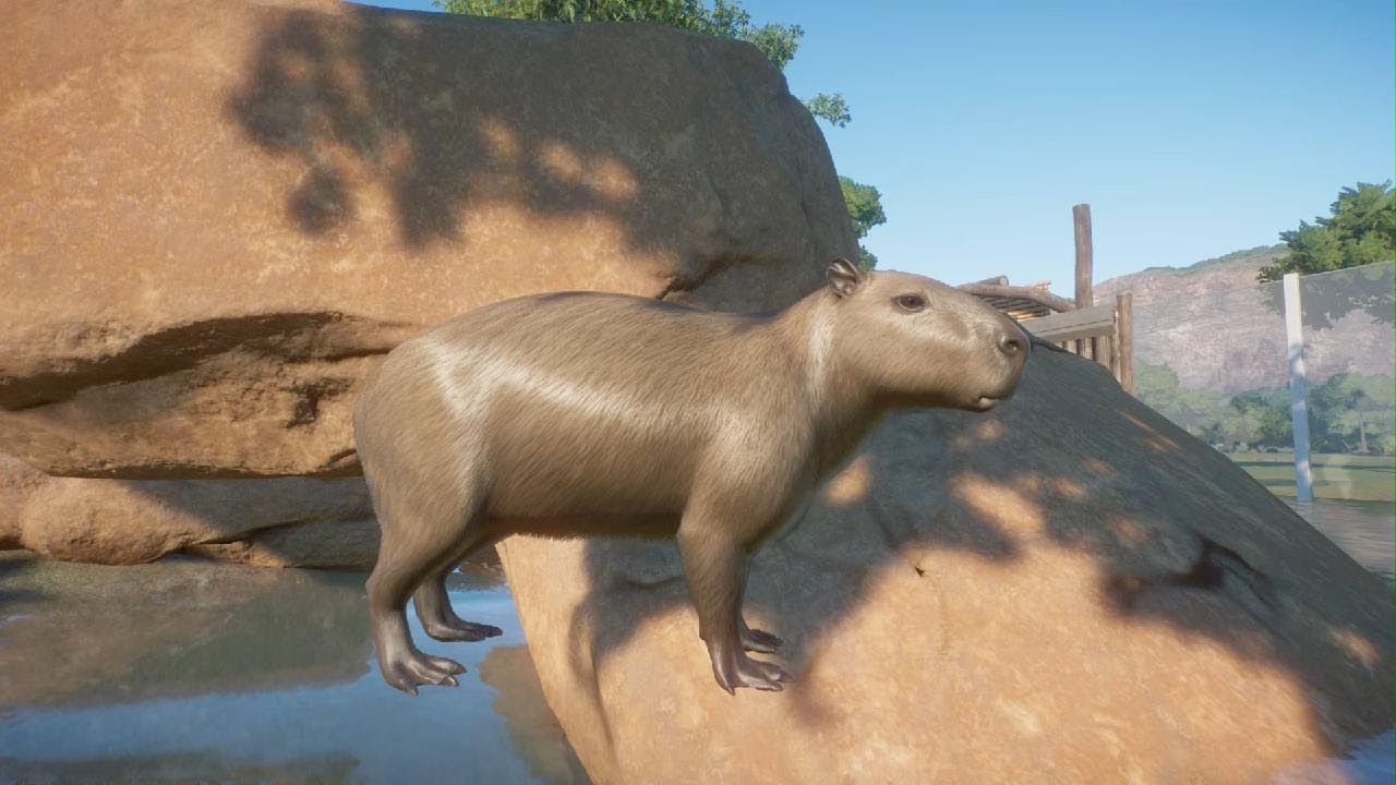 Planet Zoo Wetlands Animal Pack: Capybara