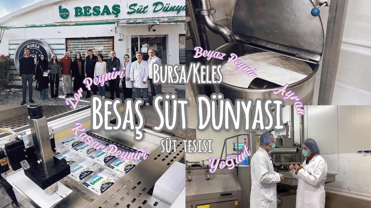 Как производятся сыр и йогурт? | Мы в мире молочной продукции BESAŞ! 🧀🥛