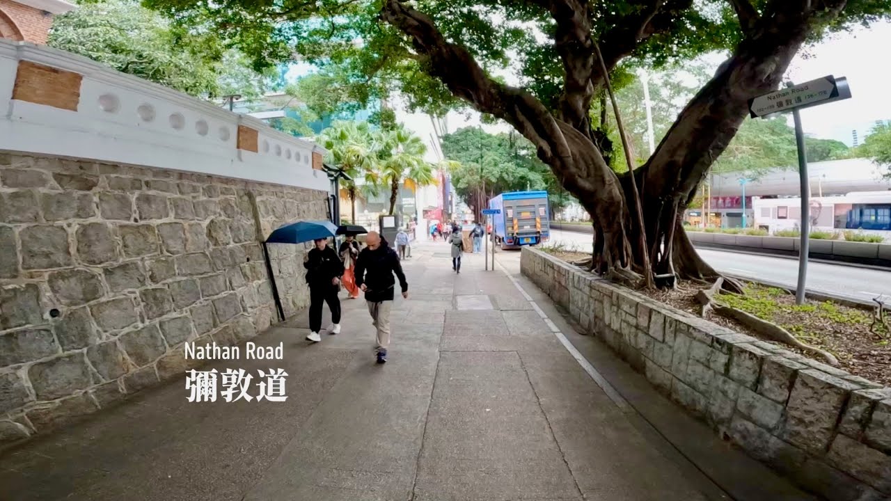 彌敦道 | Nathan Road | Walking in Hong Kong | 2025