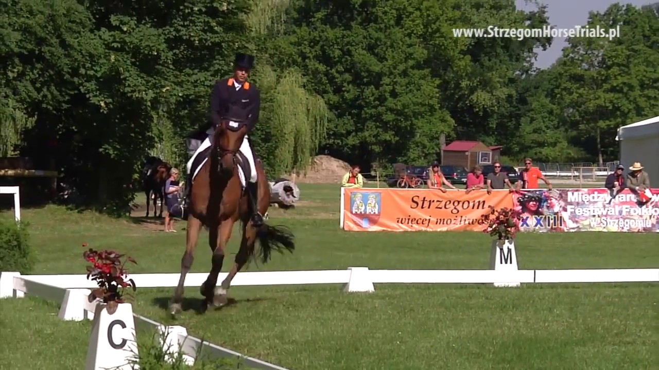SHT 2014 - Tim LIPS - Concrex Oncarlos - Dressage