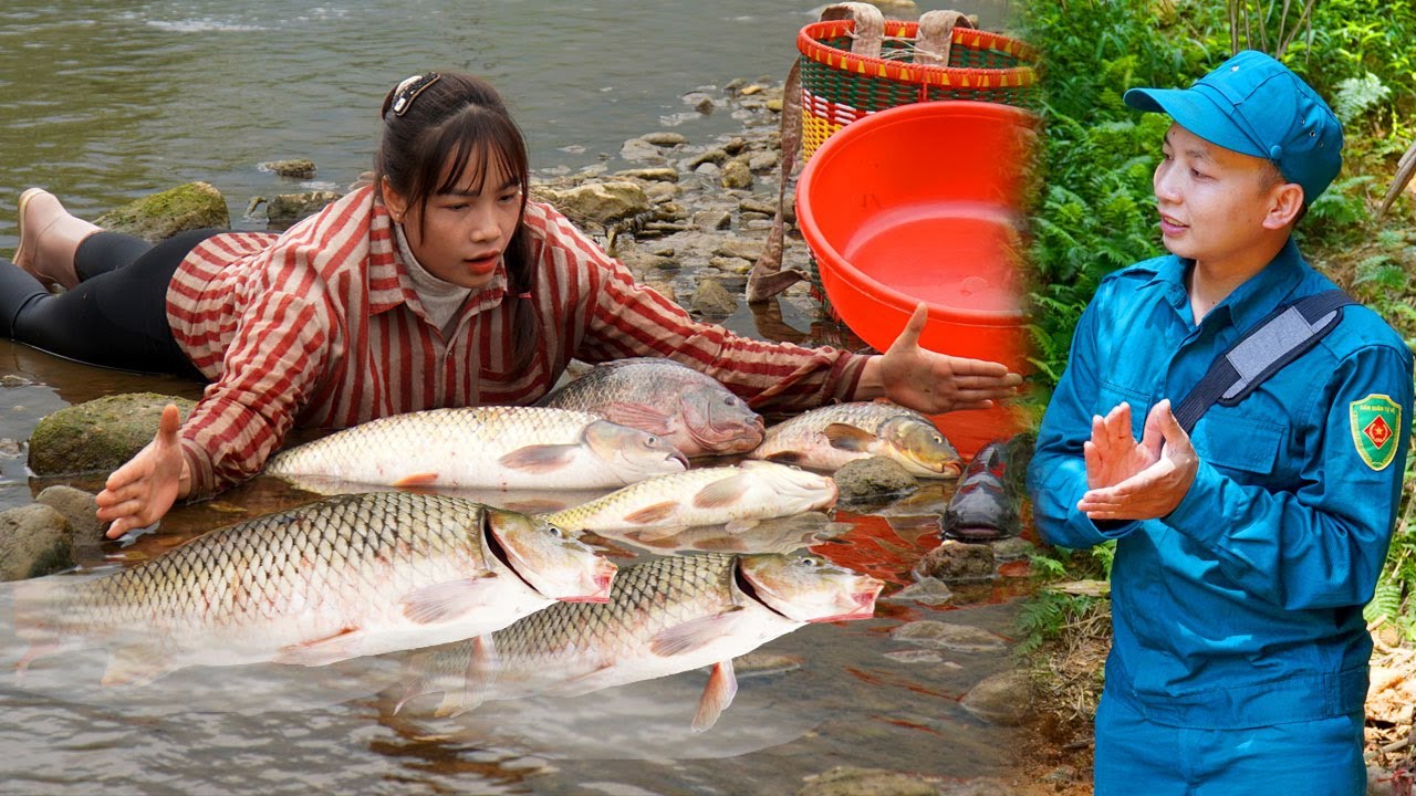 Giant fish catching skills - The girl dammed a large stream to catch fish. The policeman returned