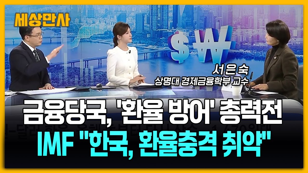 금융당국, '환율 방어' 총력전…IMF 