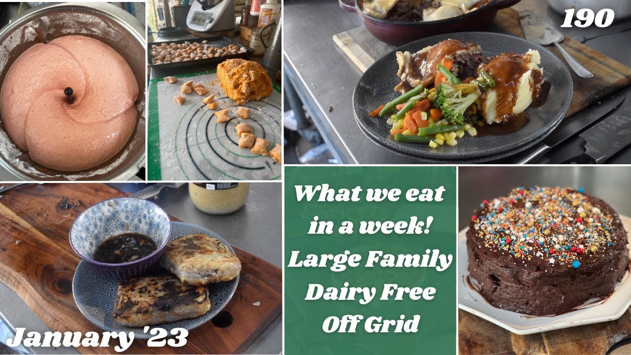 What we eat in a week | Monthly Groceries | Large Family | From Scratch | Off Grid Australia 190
