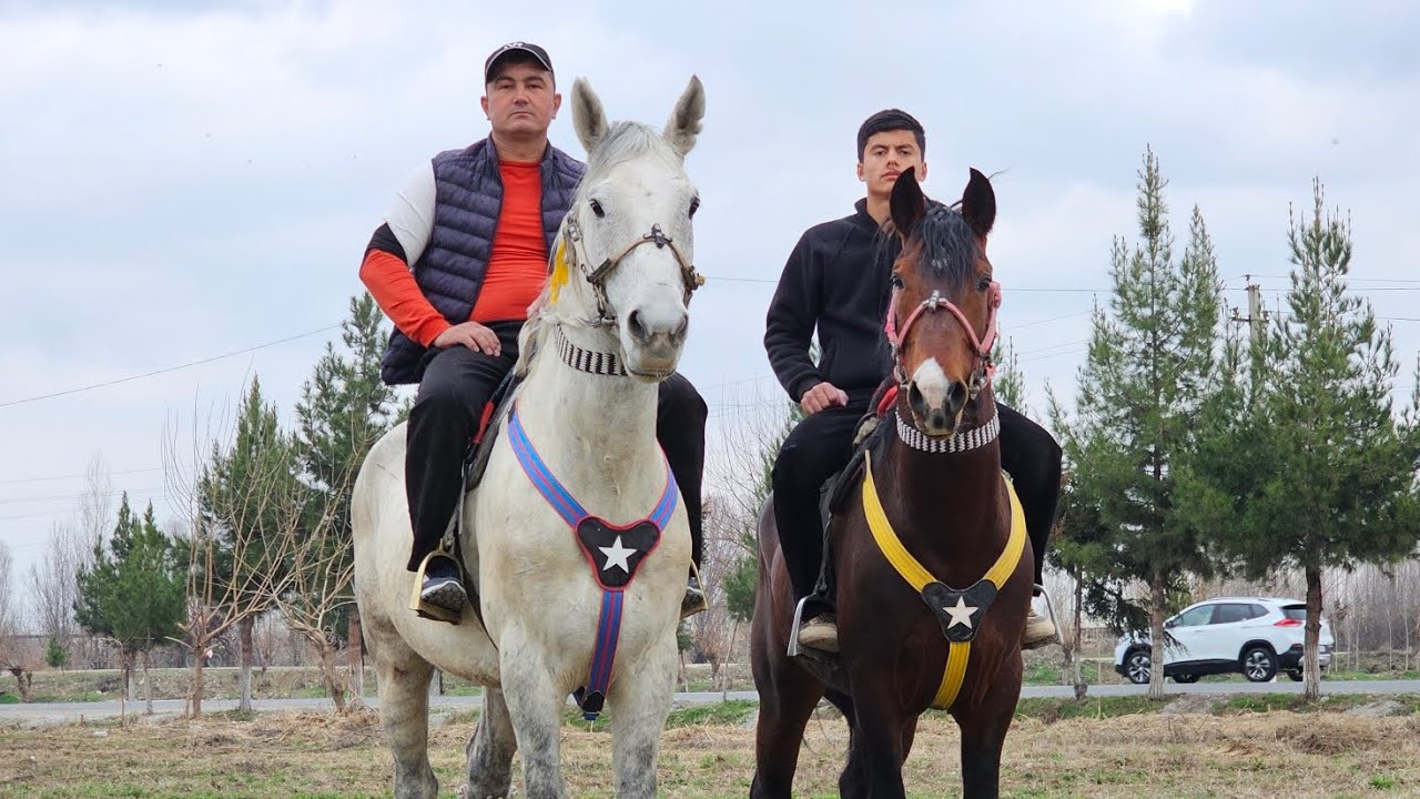 21.02.2026 NUR POLVONDAN IKKI OT SOTILADI  !..