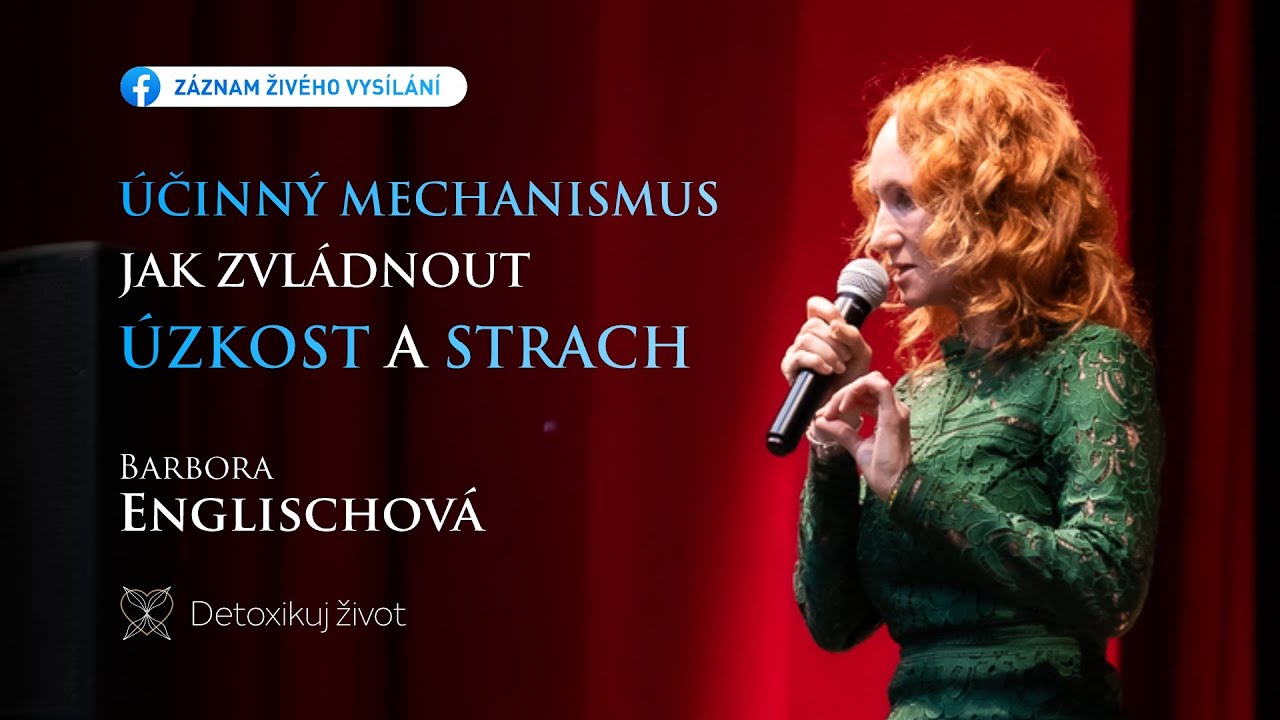 &Uacute;činn&yacute; mechanismus JAK zvl&aacute;dnout &uacute;zkost a strach