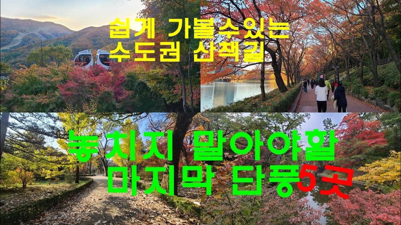 놓치면 후회할 수도권의 마지막 남은 단풍명소 5곳 ㅣ11월의 단풍지 ㅣ