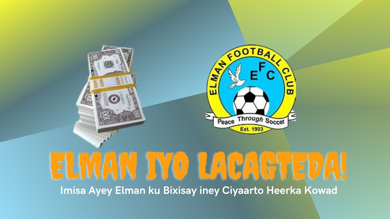 Elman Iyo Lacagteeda!| Sidey Elman Ku Timid Heerka Koowad Saddex Bil Kadib Markey B Aaden? Muuqal ..