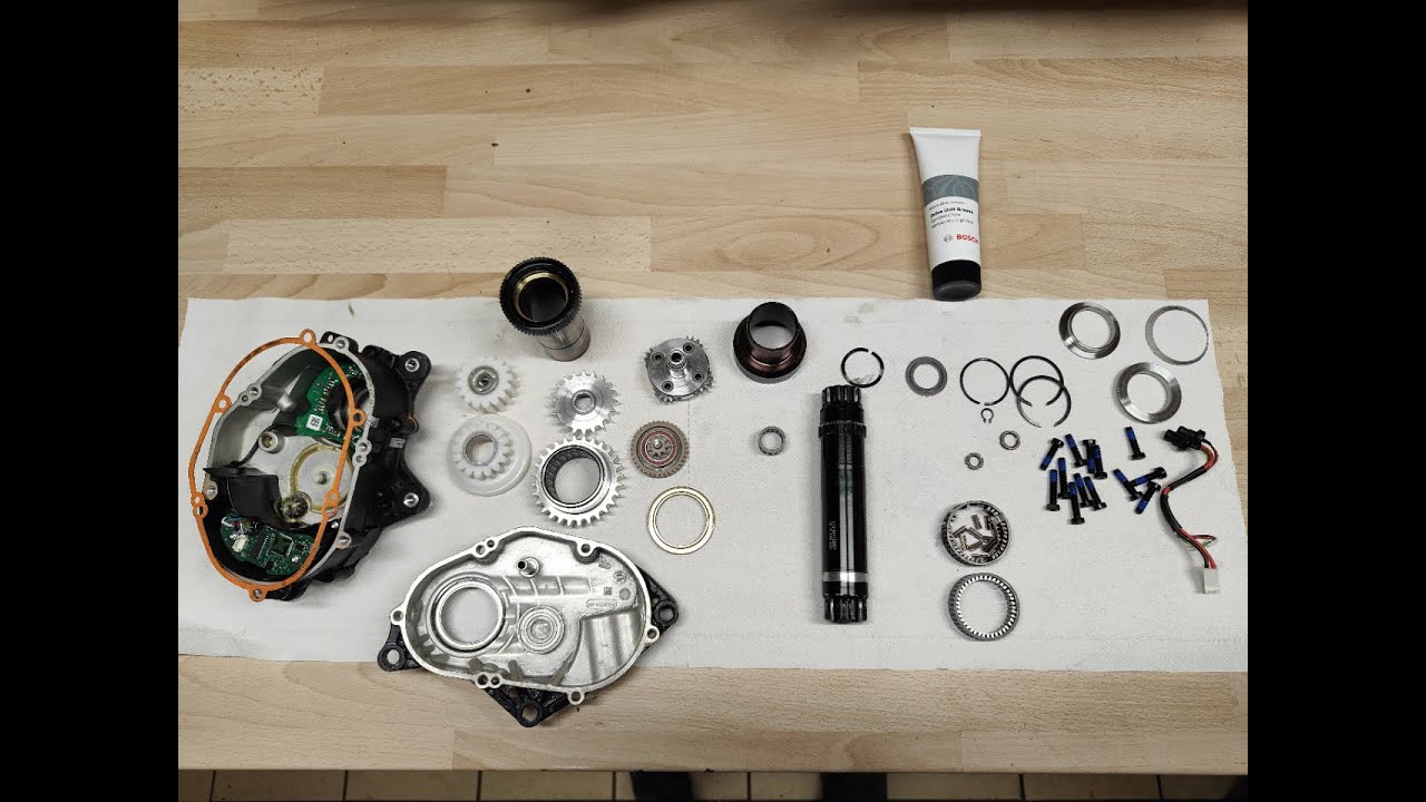 MTB Service: Motor Specialized 2019-2021 Mahle 1.1