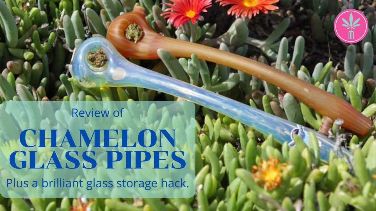 Chameleon Glass - High Quality, Big Variety Glass Pipes