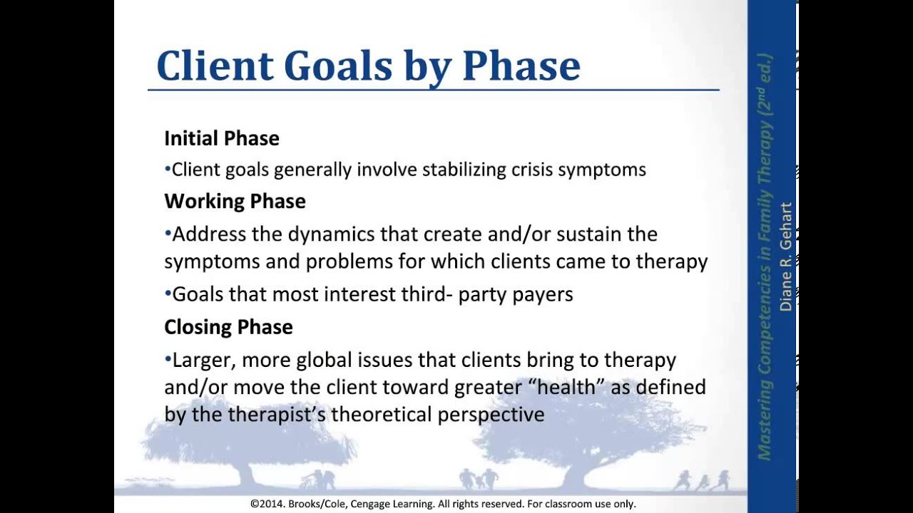 Treatment Planning Mastering Competencies 2nd edition