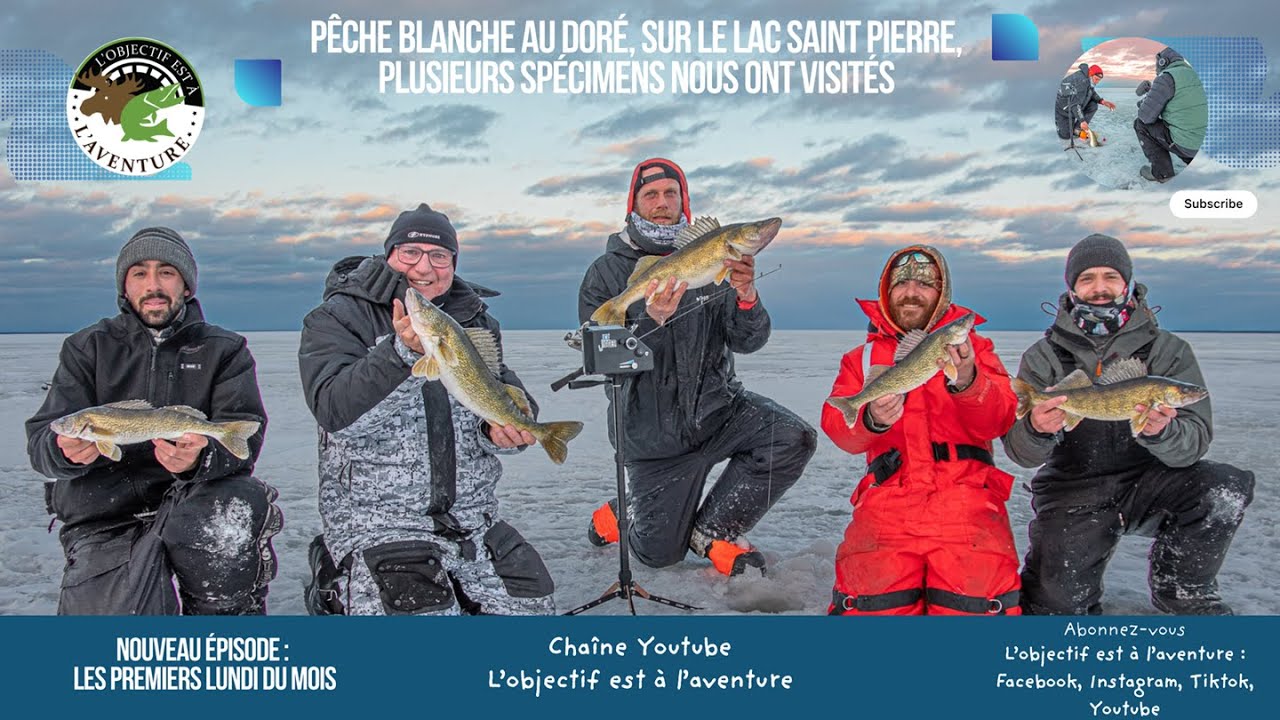Pêche blanche  au doré, sur le lac Saint Pierre, plusieurs spécimens nous ont visités