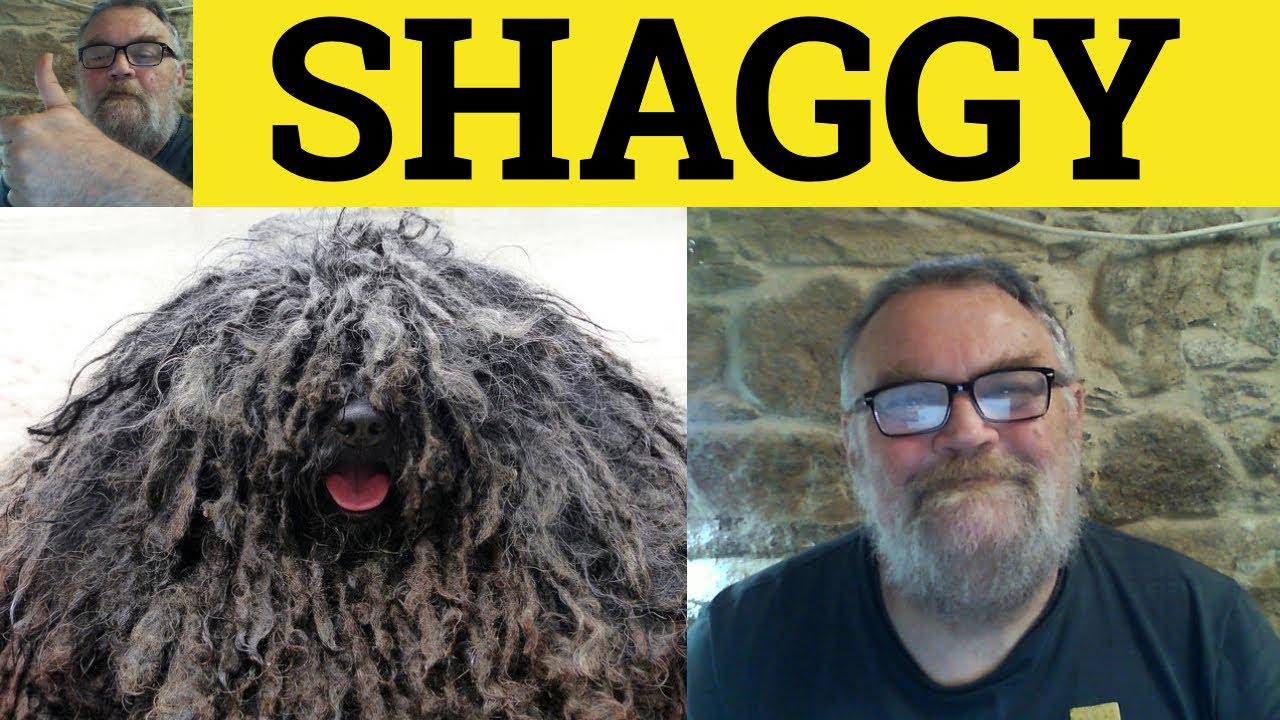 🔵 Shaggy Meaning - Shaggy Dog Story Means - Shaggy Examples - Shaggy Definition - Shaggy