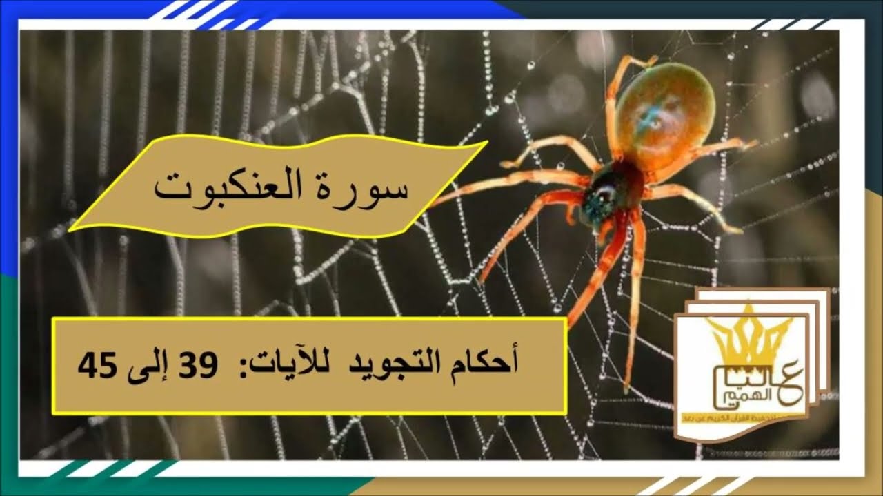 سورة العنكبوت : شرح لأحكام التجويد للآيات  من39 الى 45