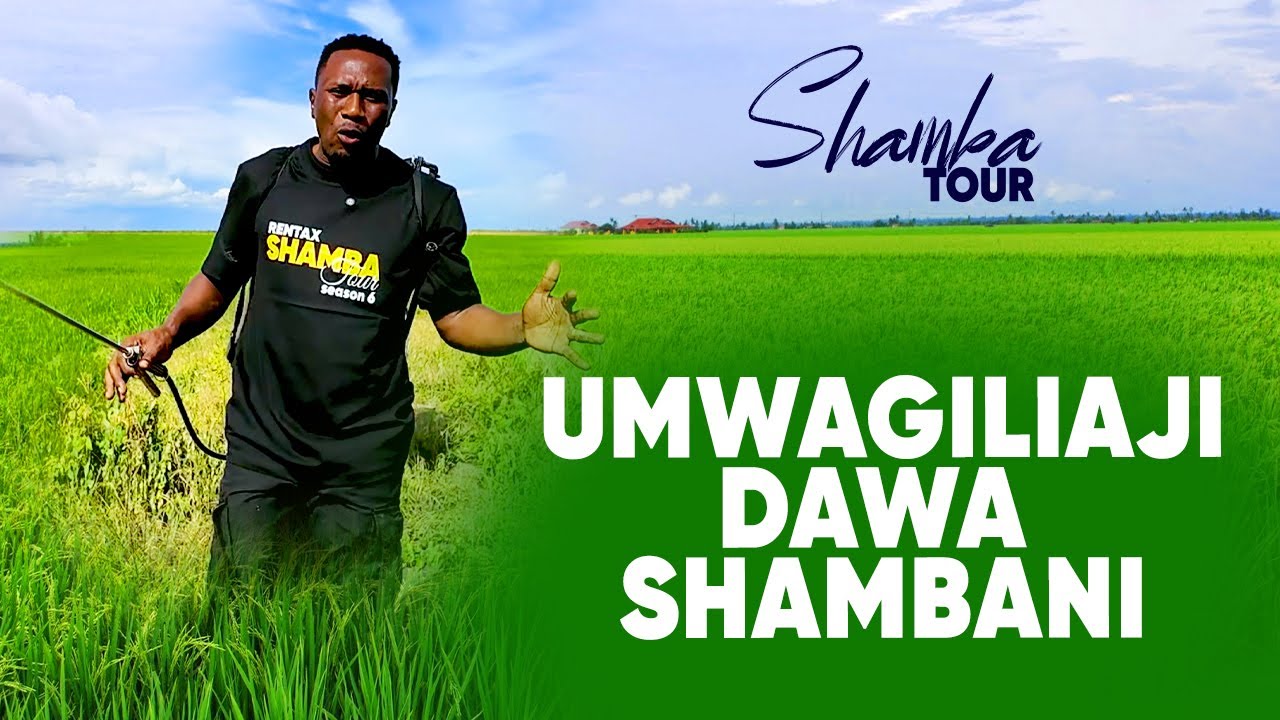 MASANJA KILIMO: JINSI YA KUMWAGA DAWA KWENYE MPUNGA
