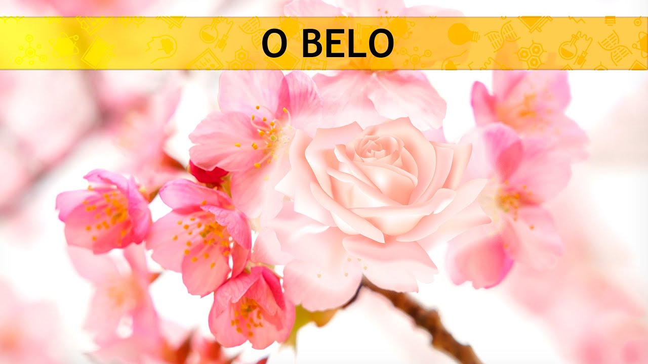 Plat&atilde;o | O Belo