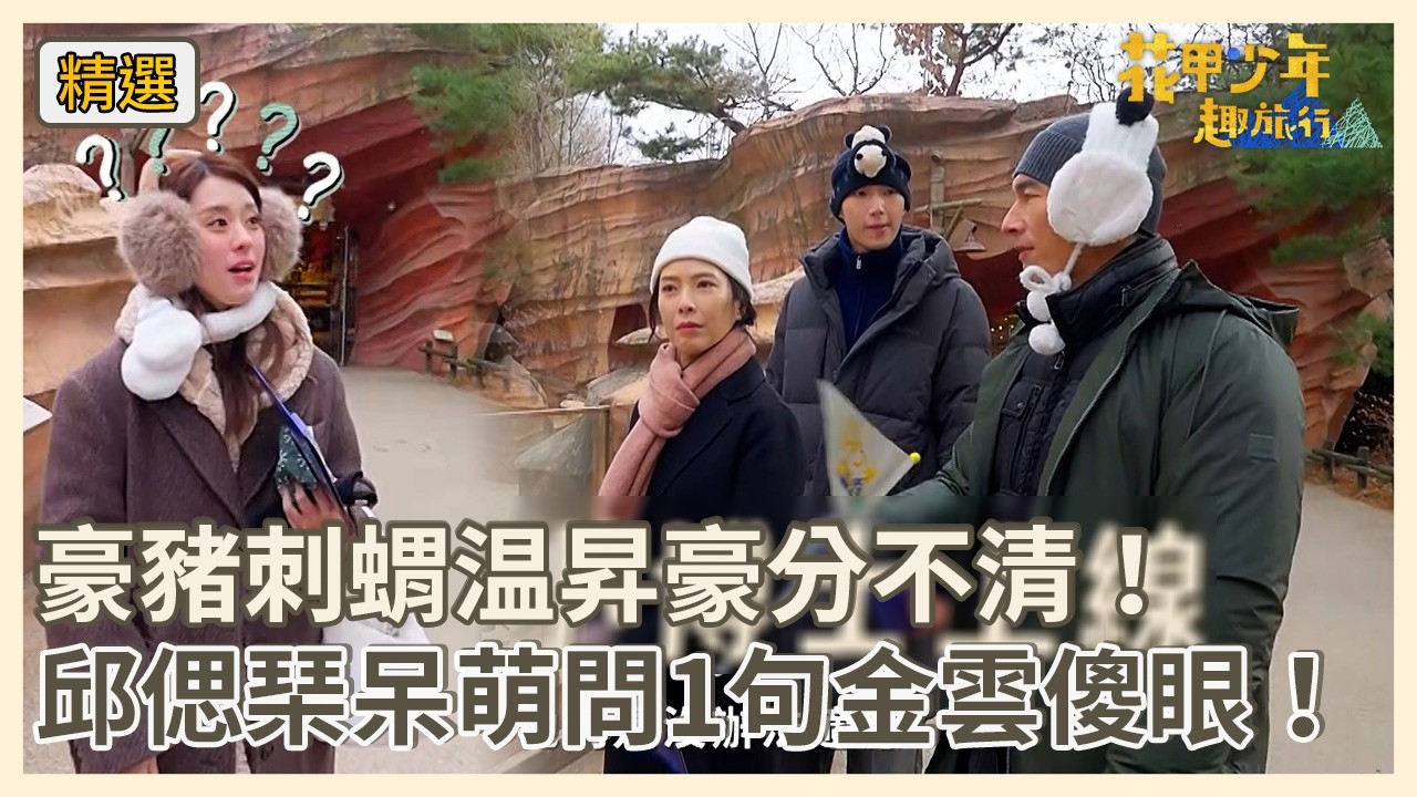 豪豬刺蝟温昇豪分不清！邱偲琹呆萌問1句金雲傻眼！【#花甲少年趣旅行】S13 EP186花絮｜韓國首爾🚐｜温昇豪 天心 金雲 邱偲琹