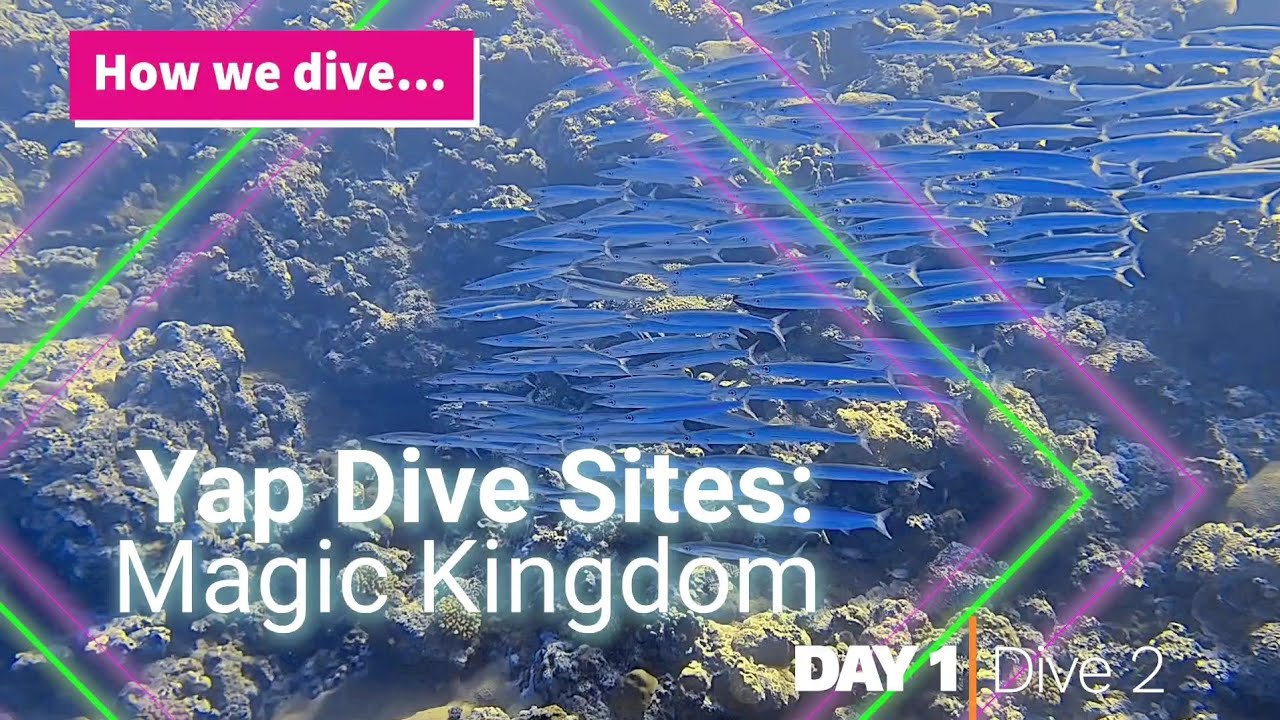 How we dive... Yap Dive Sites: Magic Kingdom 
