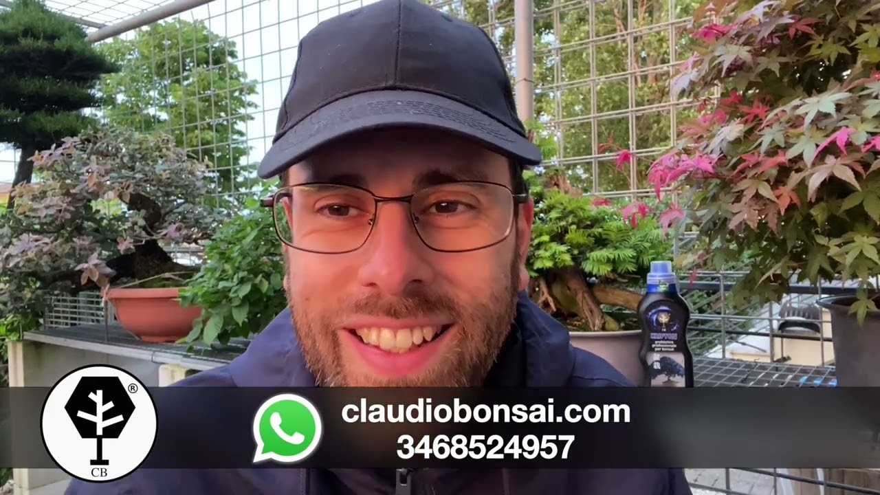 QUANDO METTERE E TOGLIERE IL FILO SUL BONSAI