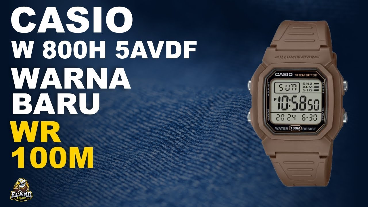 CASIO W 800H 5AVDF : JAM TANGAN CASIO WR 100M WARNA BARU (2024)