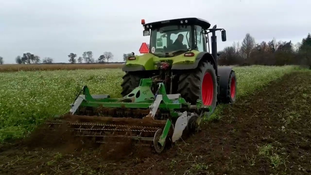 ☘️ talerzowanie poplonu 2025 ☘️🚜CLAAS ARION 640 TOLMET