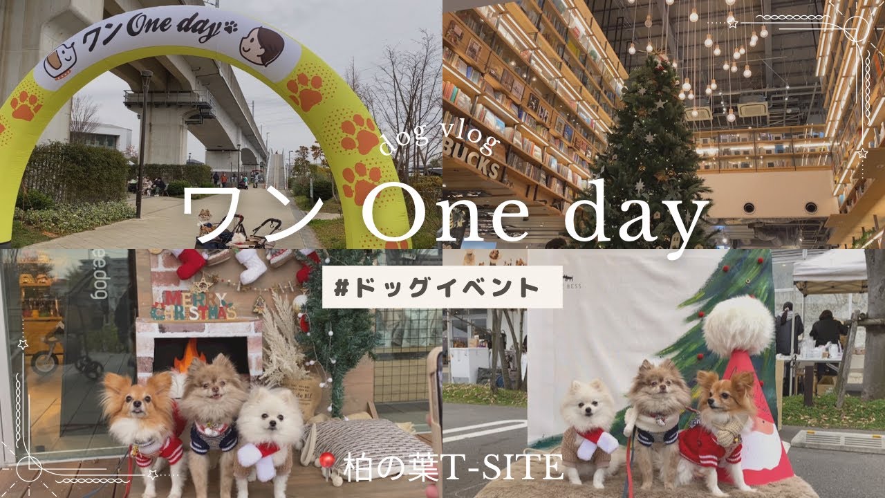 【ドッグイベント】ワンOneday｜柏の葉T-SITE