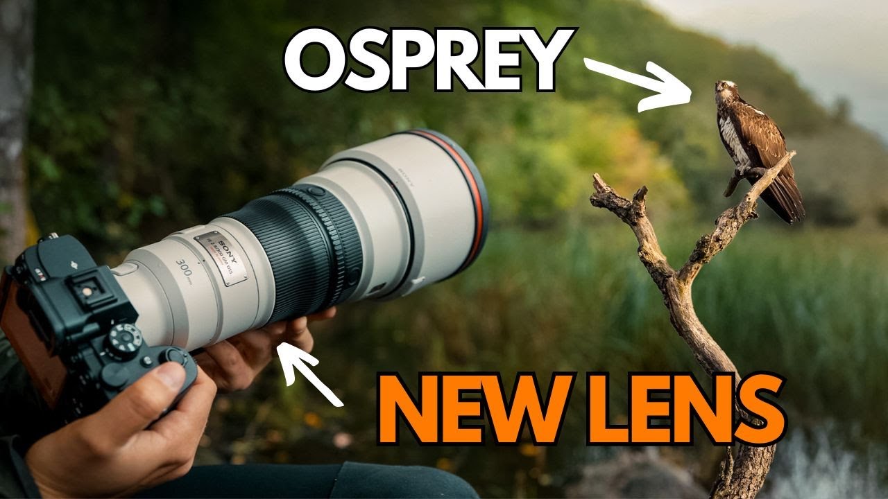 Удачный день для фотографирования птиц — Sony 300mm 2.8 GM OSS