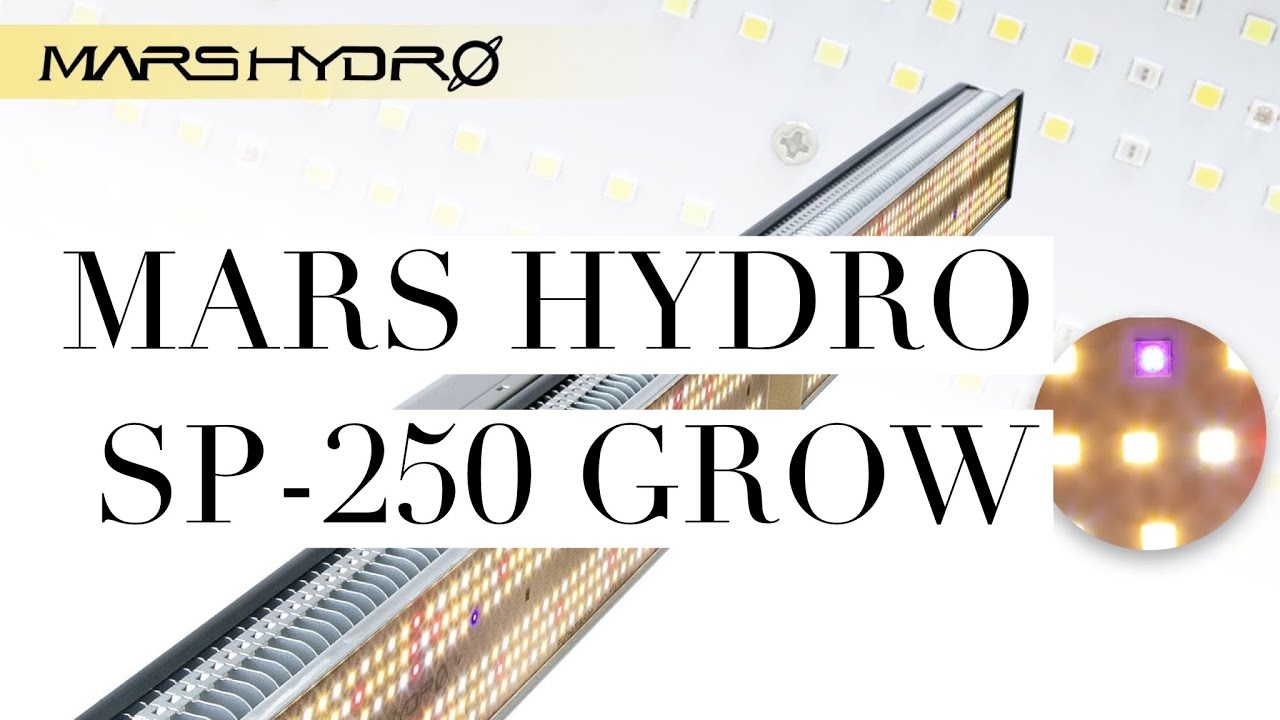Mars Hydro SP-250 Grow Ep.1 (The Setup)
