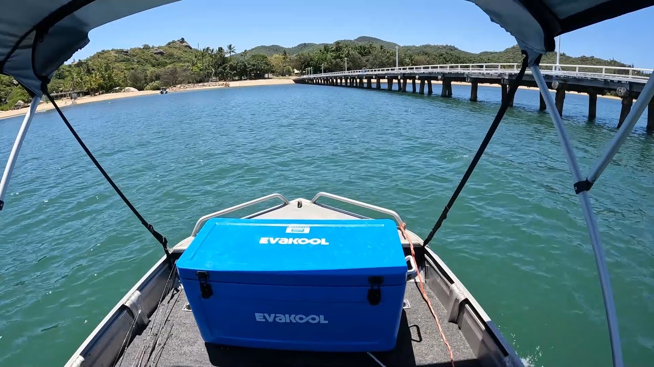 CATCHING DINNER - Tropical Island FISHING