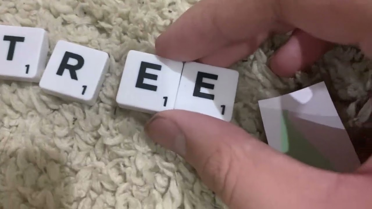 BBT’s Alphablocks S1E2: Bee | Full Episode