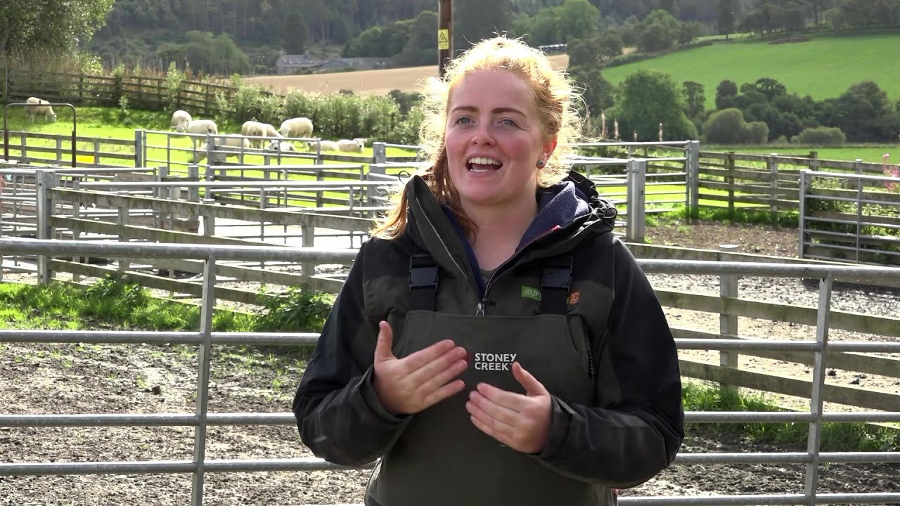 Farm Smart: Farming Instagram Star Boosts Flock Performance with Herdwatch