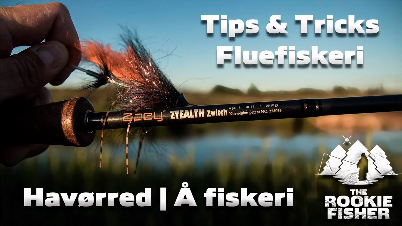 Fluefiskeri Havørred | Tips & Tricks | Å fiskeri | Per Gylling Zpey