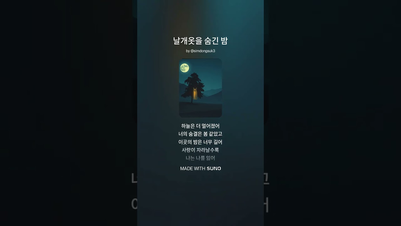날개옷을 숨긴 밤