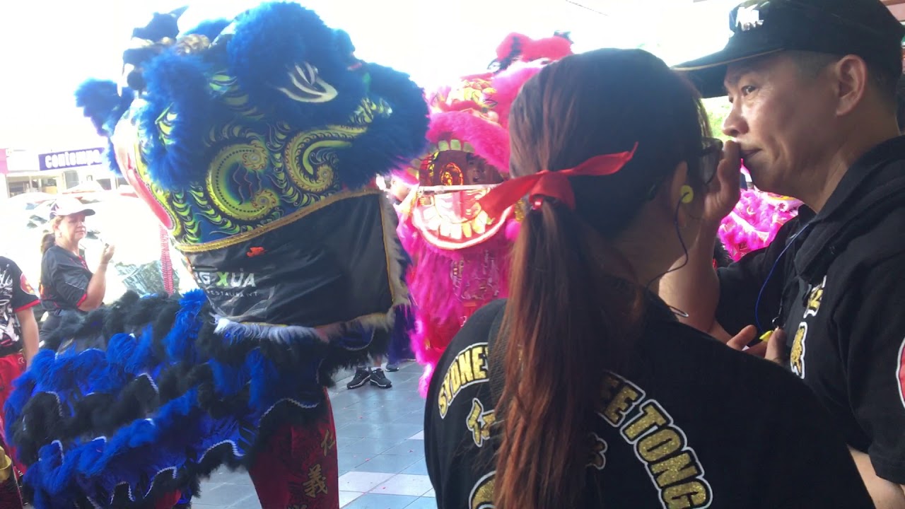 Sydney Yun Yee Tong CNY 2019 Cabramatta